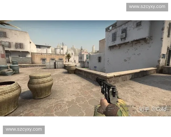 《从CSGO老叉的经典战术谈起：如何通过团队协作掌控局势》